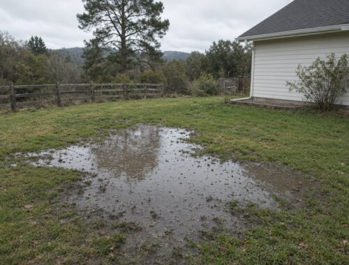 Failing Septic Warning Signs in San Diego County: What Owners Should Watch — Solid State Septic