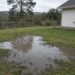 Standing muddy water pooling in a residential backyard after rain near a white house — Solid State Septic